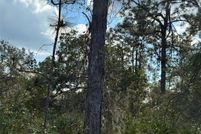 Land for sale in Polk County, Florida