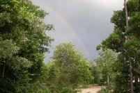 Undeveloped Land for sale in Aiken County, South Carolina