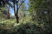 Land for sale in Curry County, Oregon