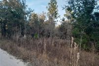 Land for sale in Levy County, Florida