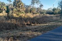 Undeveloped Land for sale in Levy County, Florida