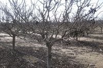 Land for sale in Tulare County, California