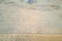 Land for sale in Hale County, Texas