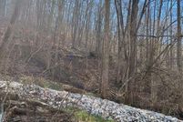 Land for sale in Wayne County, West Virginia