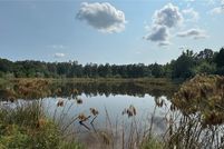 Undeveloped Land for sale in Ripley County, Missouri