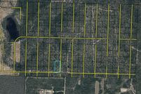 Undeveloped Land for sale in Washington County, Florida