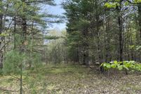 Undeveloped Land for sale in Manistee County, Michigan