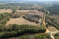 Land for sale in Geneva County, Alabama
