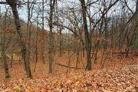 Timberland Property for sale in Camden County, Missouri