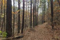 Land for sale in Conway County, Arkansas