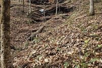 Land for sale in Cumberland County, Kentucky