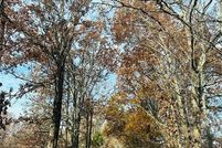 Land for sale in Bollinger County, Missouri