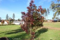 Undeveloped Land for sale in Butte County, California