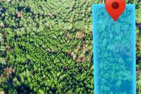 Undeveloped Land for sale in Randolph County, Alabama