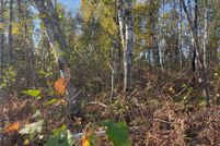 Land for sale in Pine County, Minnesota