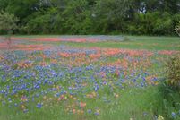 Undeveloped Land for sale in Bell County, Texas