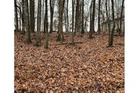 Undeveloped Land for sale in Cumberland County, Tennessee