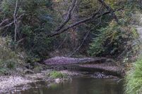 Undeveloped Land for sale in Lincoln County, Mississippi