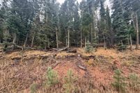 Undeveloped Land for sale in Colfax County, New Mexico