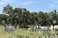 Recreational Property for sale in Schleicher County, Texas