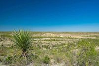 Land for sale in Terrell County, Texas