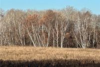 Timberland Property for sale in Morrison County, Minnesota