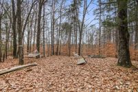 Land for sale in Newaygo County, Michigan