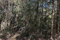 Undeveloped Land for sale in Panola County, Texas