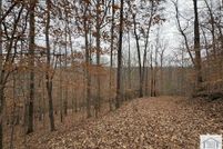 Undeveloped Land for sale in Henry County, Virginia