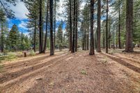 Land for sale in Nevada County, California