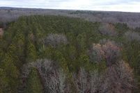 Land for sale in Manistee County, Michigan