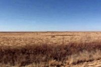 Undeveloped Land for sale in Roosevelt County, New Mexico