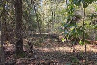 Land for sale in Kershaw County, South Carolina