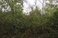 Undeveloped Land for sale in Limestone County, Texas