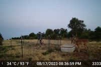 Land for sale in Jones County, Texas