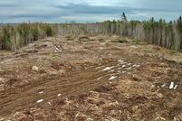 Land for sale in Washington County, Maine