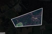 Land for sale in Gilmer County, Georgia