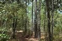 Undeveloped Land for sale in Levy County, Florida