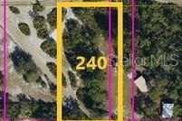 Land for sale in Osceola County, Florida