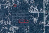Land for sale in Hernando County, Florida