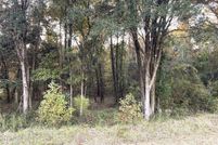 Land for sale in Marion County, Florida