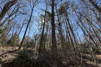 Land for sale in White County, Georgia