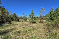 Undeveloped Land for sale in Murray County, Georgia