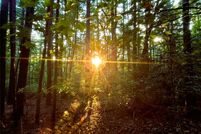 Land for sale in Henderson County, North Carolina