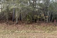 Land for sale in Emanuel County, Georgia