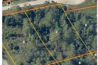 Undeveloped Land for sale in Hernando County, Florida