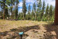 Land for sale in Ravalli County, Montana
