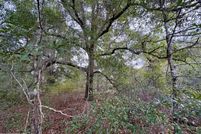 Undeveloped Land for sale in Jackson County, Florida