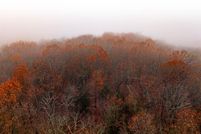 Land for sale in Ozark County, Missouri