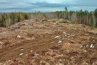 Land for sale in Washington County, Maine